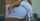 panties fantasyhd