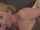 What's the name of this porn star?