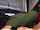 What's the name of this porn star?
