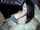 masturbate solo female masturbation