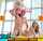 mofos
