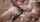 homemade amateur blowjob