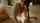 What's the name of this porn star?
