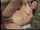 What's the name of this porn star?