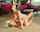 teen teenfidelity