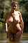 What's the name of this porn star?