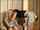 What is the name of this porno?