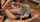 What's the name of this porn star?