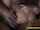 What's the name of this porn star?