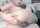What's the name of this porn star?