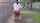 What's the name of this porn star?
