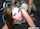 bangbus
