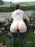 ass