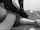Milking videos