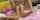 What's the name of this porn star?