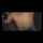 What's the name of this porn star?