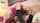 sharing clips4sale