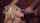 What's the name of that Jesse Jane scene please