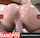 What's the name of this porn star?