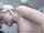 vaginal sex caucasian couple