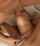 deepthroat