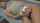 clips4sale