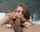 gagging teen teamskeet