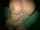 What's the name of this porn star?