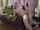 What's the name of this porn star?