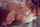 babesnetwork