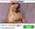 What's the name of this porn star?