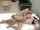 What's the name of this porn star?