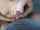 masturbation handjob couple