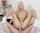 cowgirl blond anal