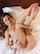 metart