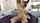 What's the name of this porn star?
