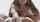 What's the name of this porn star?