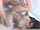 teamskeet compilation creampie