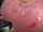 Where can I find this video?