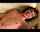 Who Dis and FULL Vid