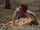 what is the name of the movie and where can i find it