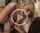 namme or video of any info about the girl ?
