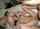 threesome amateur