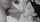 teen deep throat teenfidelity