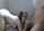cam webcam teen