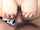 brunette cum shot oral sex