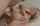 blond anal blonde