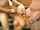 What's the name of this porn star?