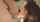 What's the name of this porn star?