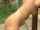 What's the name of this porn star?